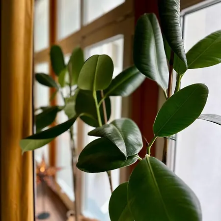 Hidden Garden ウッチ