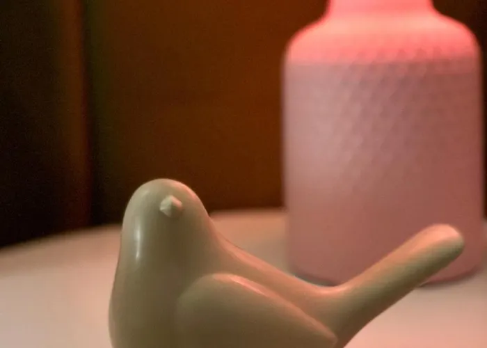 Daire Hidden Garden Łódź