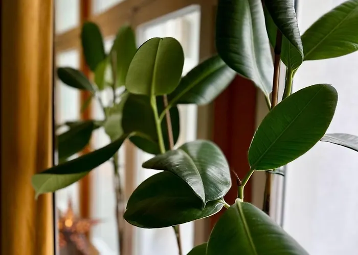 Hidden Garden Łódź